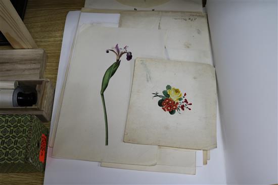A folio of 19th century watercolours; botanical studies Largest 36 x 28cm.